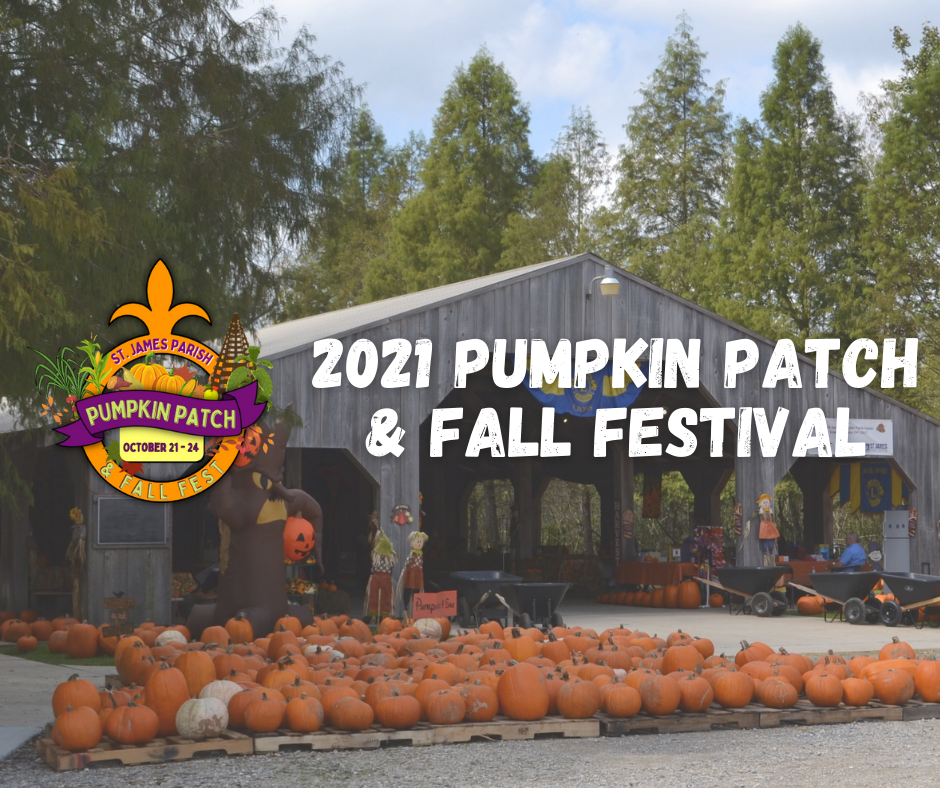 pumpkin patch website