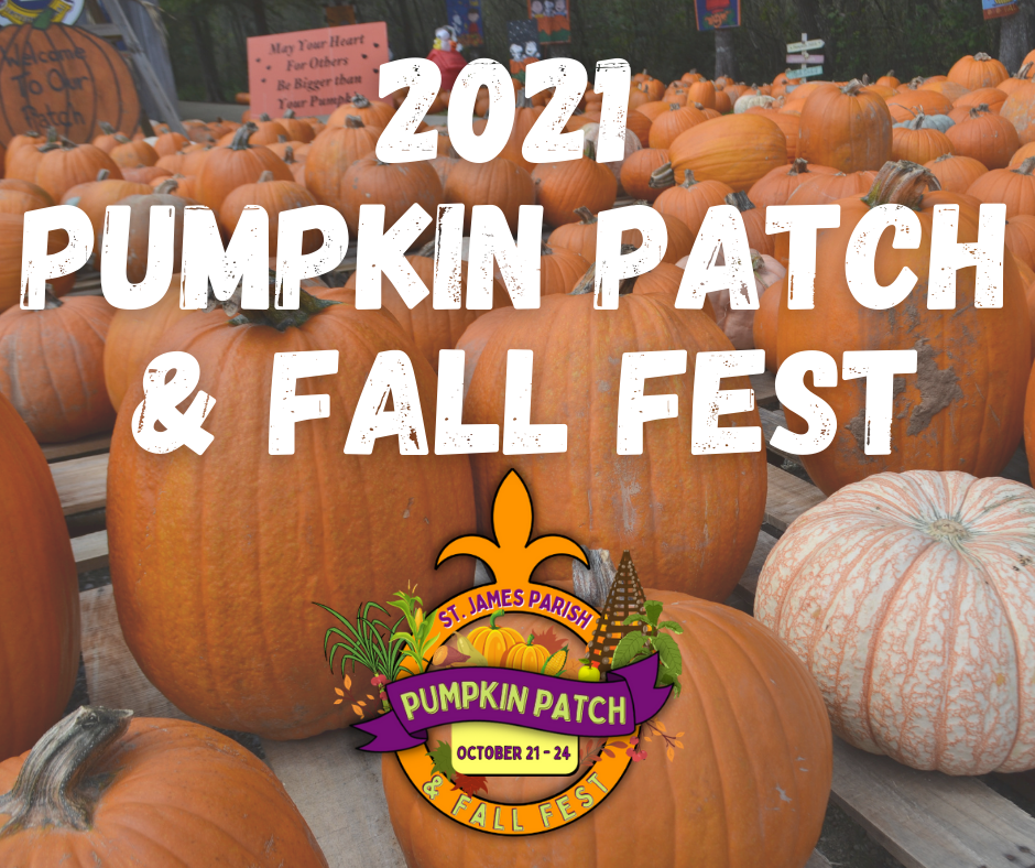 pumpkin patch website (2)