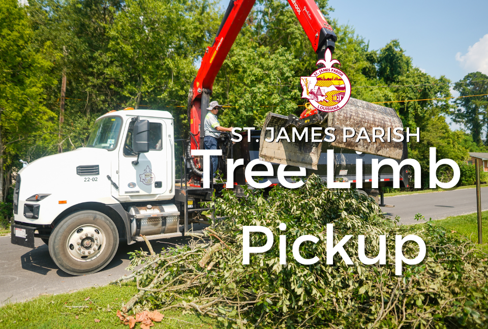 Tree Limb Pickup