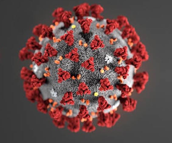 LDHSliders-Coronavirus2019